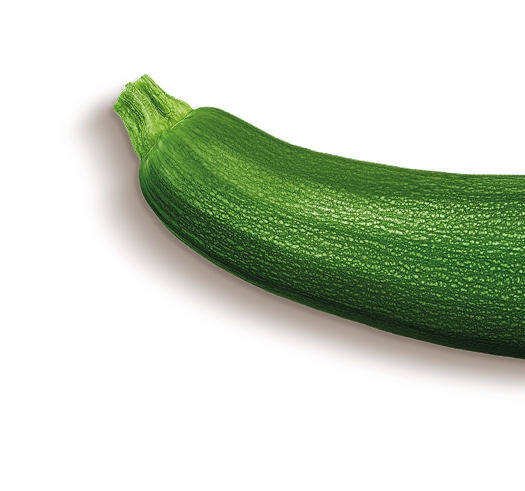 Calabacin