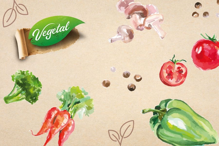 Vegetal