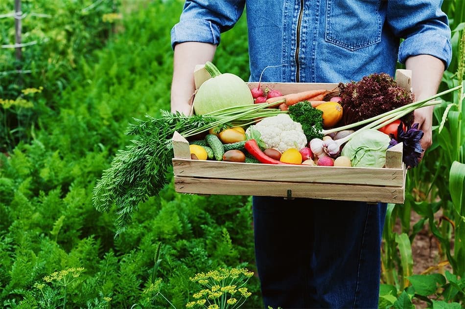 Decálogo de la Alimentación Saludable 1